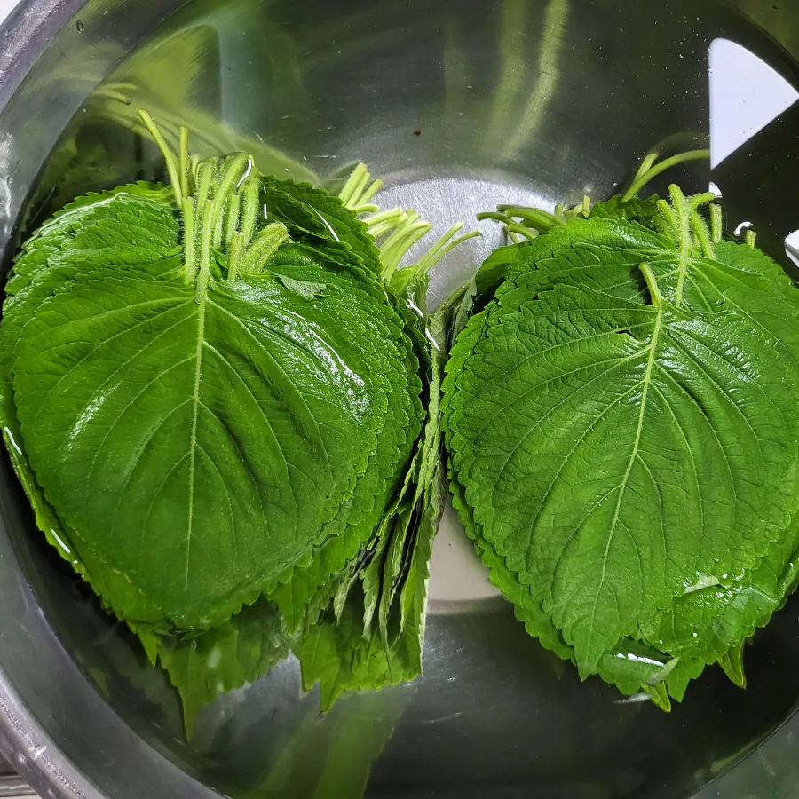 깻잎찜 만드는법 깻잎 양념장 간장깻잎찜