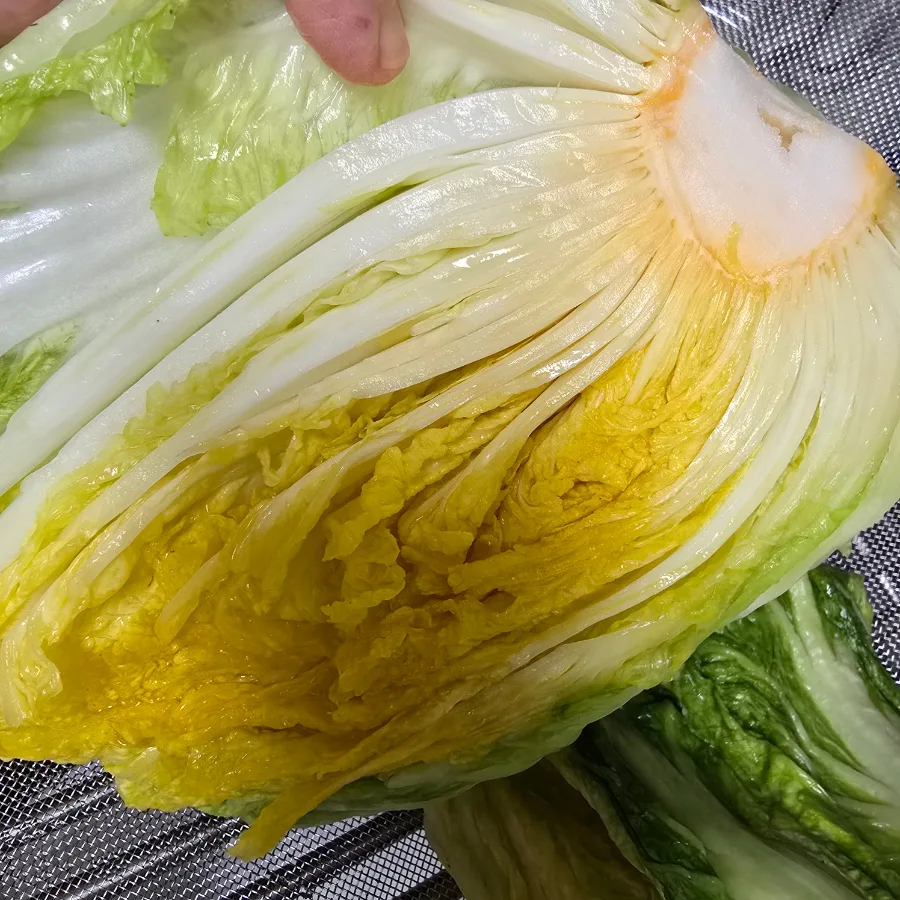 김장김치 양념 레시피 고랭지 절임배추 20kg 양념 김장육수 만들기