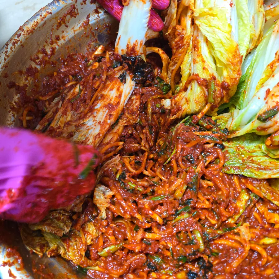 김장김치 양념 레시피 고랭지 절임배추 20kg 양념 김장육수 만들기