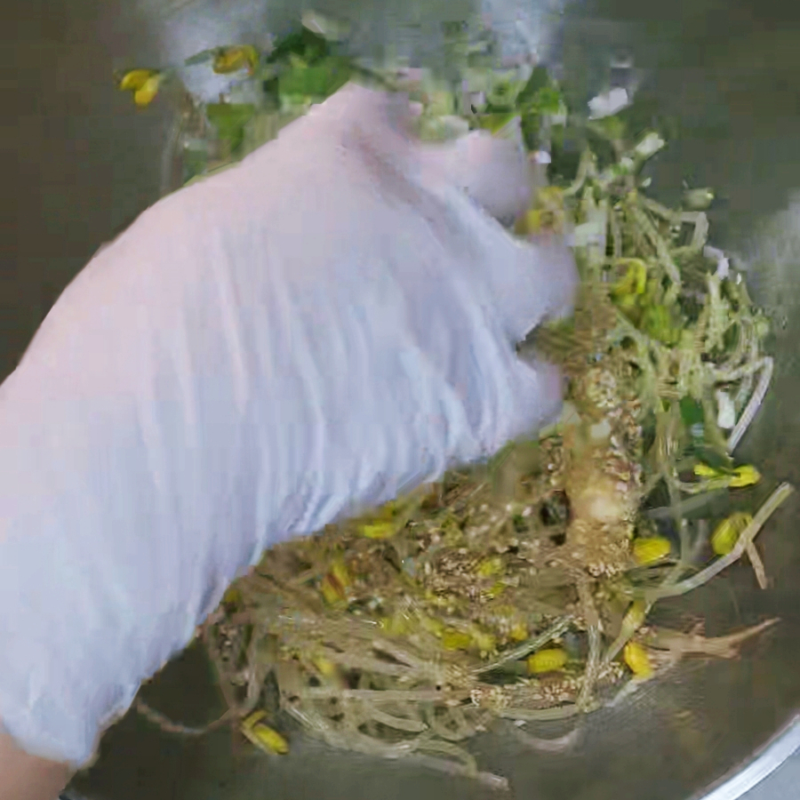 하얀 콩나물무침 레시피 참치액 콩나물 삶는시간 삶기 17 16 39