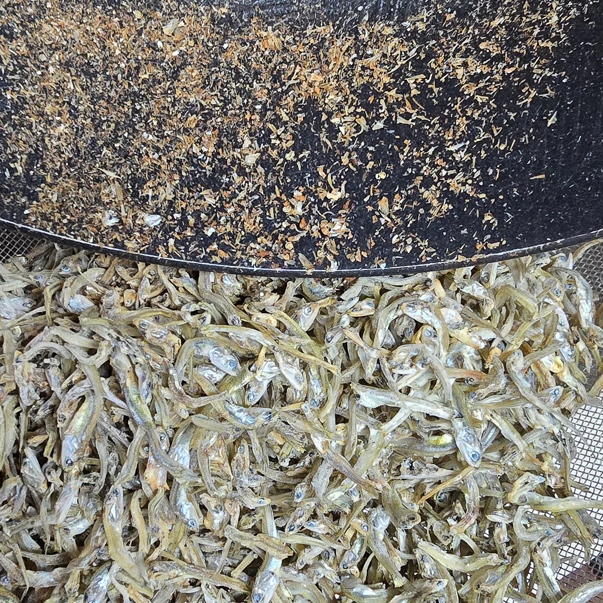 꽈리고추 멸치볶음 만드는 법 간장 멸치볶음 레시피