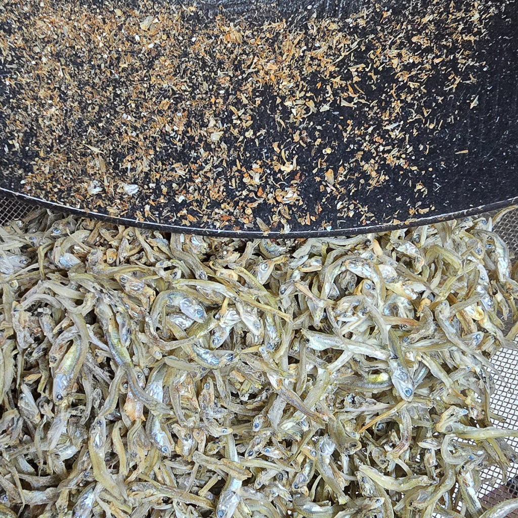 꽈리고추 멸치볶음 만드는 법 간장 멸치볶음 레시피 8 5 11