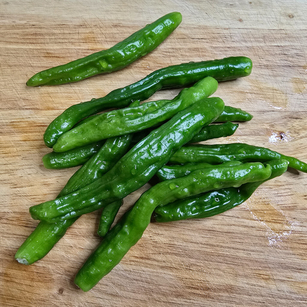 꽈리고추 멸치볶음 만드는 법 간장 멸치볶음 레시피 9 6 10