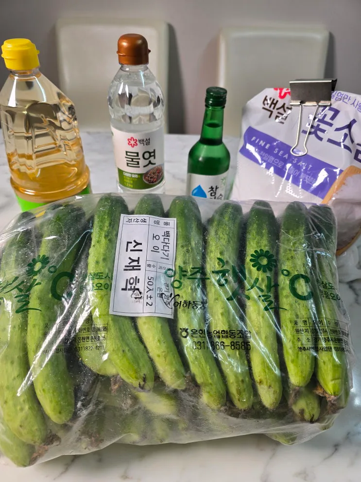 물없이 담는 오이지 50개 담그는법 꼬들한 오이지 누름통