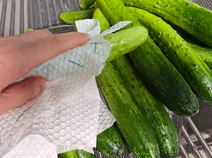 물없이 담는 오이지 50개 담그는법 꼬들한 오이지 누름통