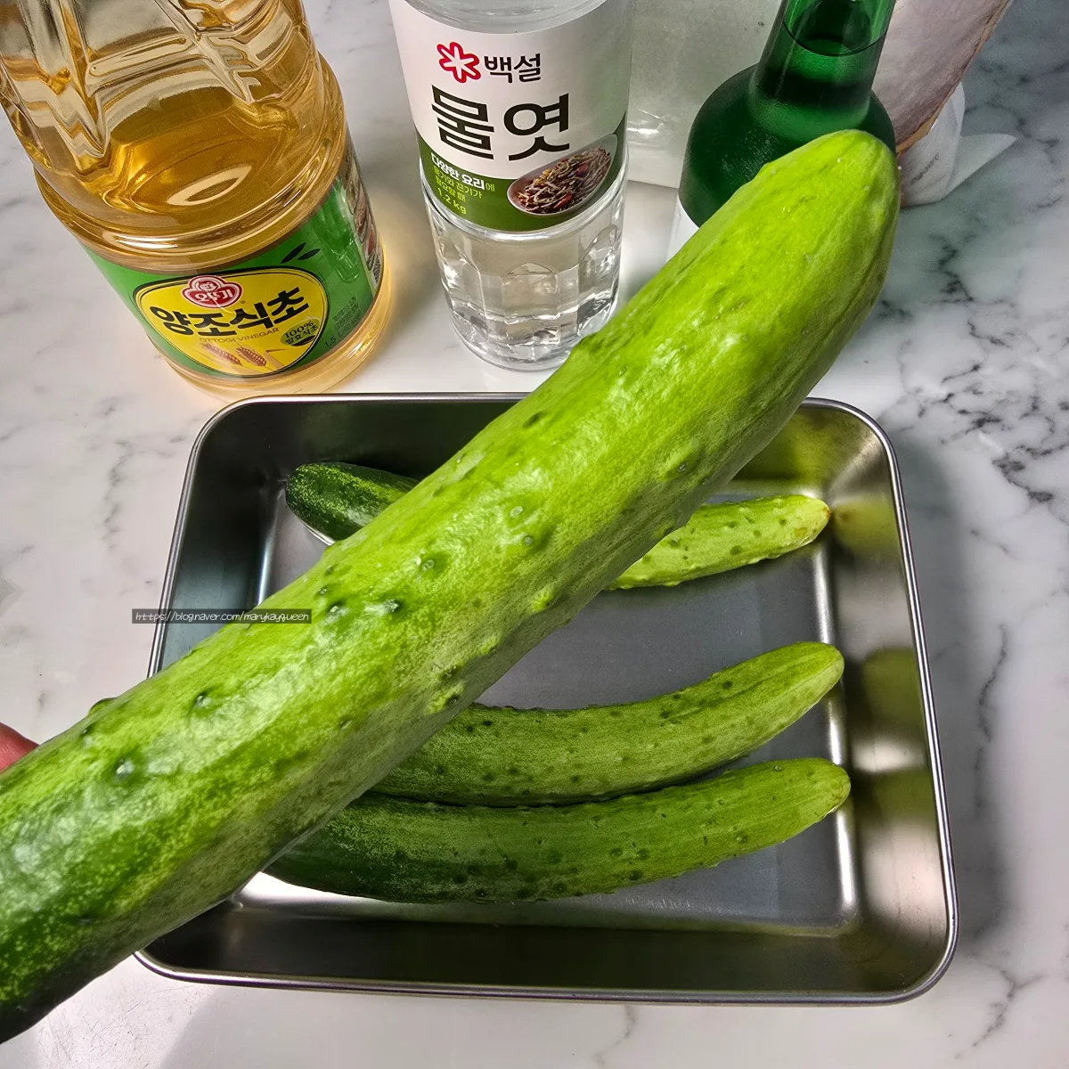 물없이담는 오이지 초간단 물없이 담그는법 오이5개