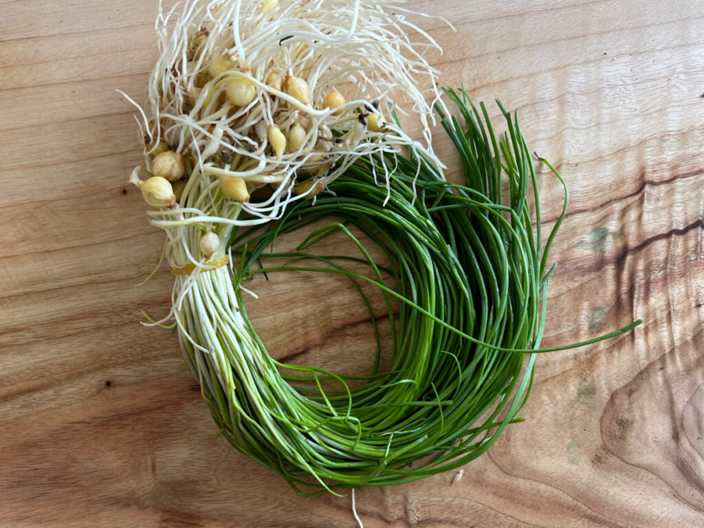 달래 양념장 달래장 만들기 달래 손질법 (+계란 두부부침) 2 1 10