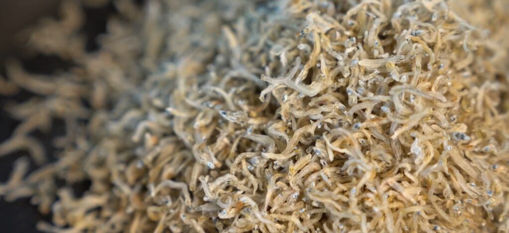 바삭한 멸치볶음 만들기 견과류 넣은 멸치볶음 간단한 밑반찬 만들기 4 1 11