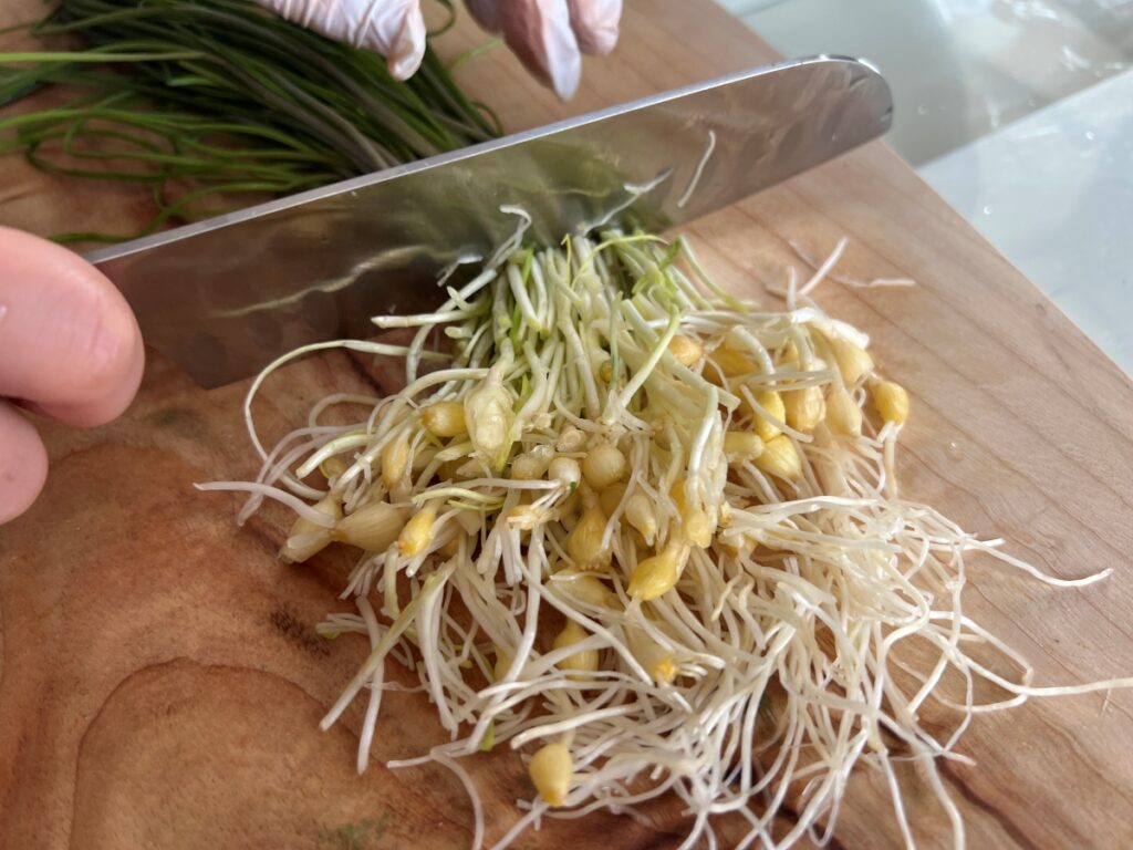 달래 양념장 달래장 만들기 달래 손질법 (+계란 두부부침) 11 10 10