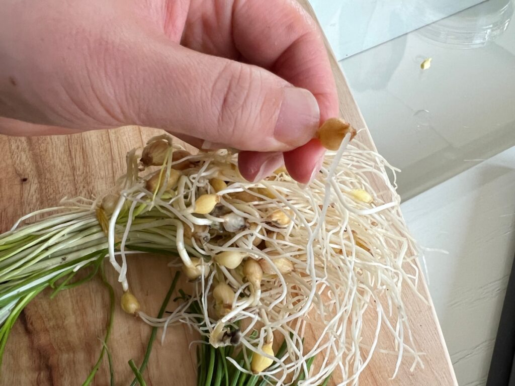 달래 양념장 달래장 만들기 달래 손질법 (+계란 두부부침) 3 2 10