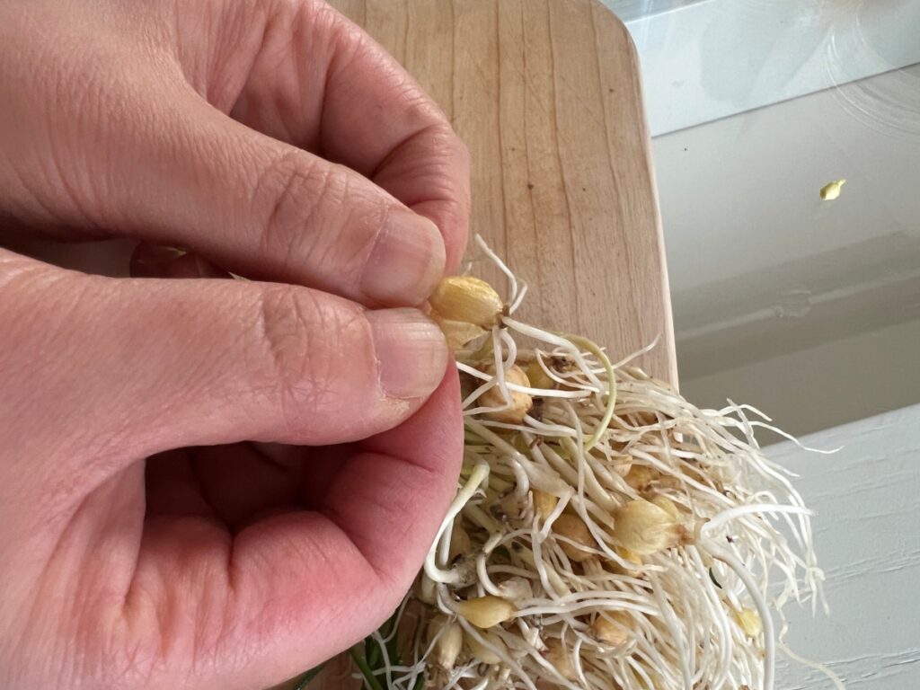 달래 양념장 달래장 만들기 달래 손질법 (+계란 두부부침) 4 3 10