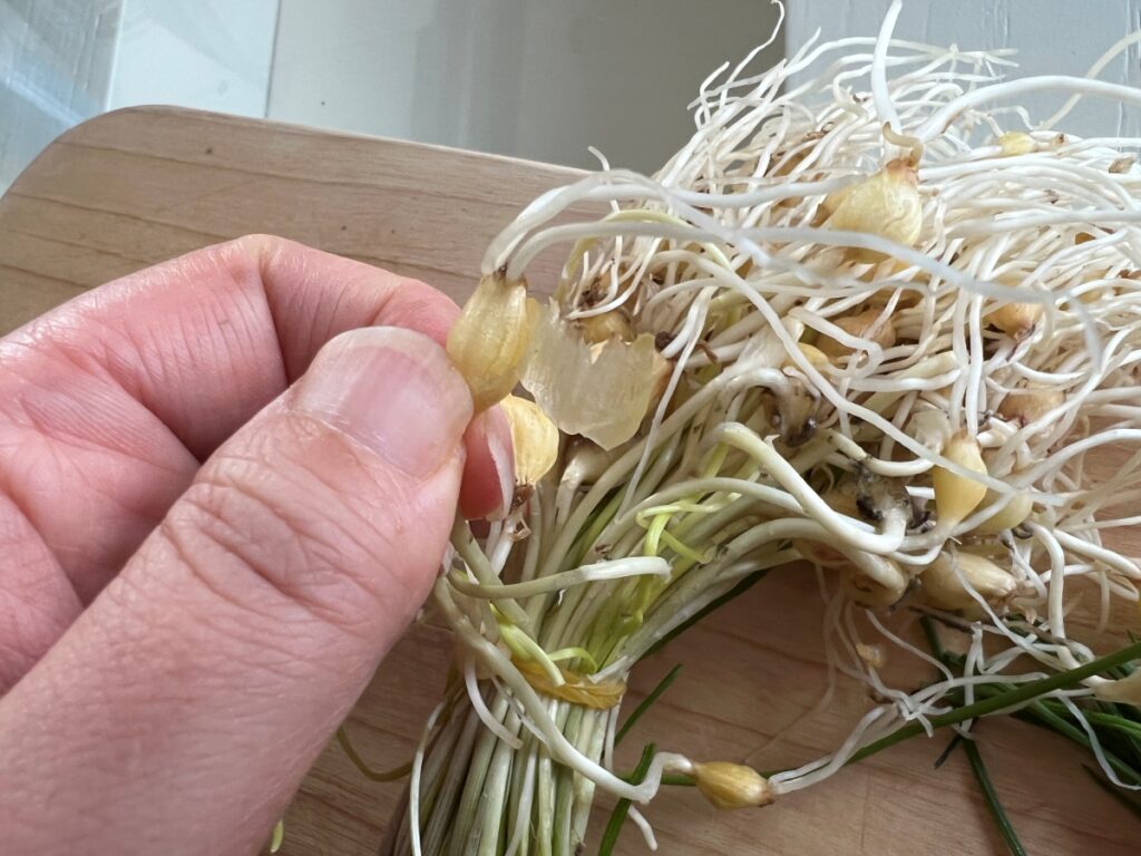 달래 양념장 달래장 만들기 달래 손질법 (+계란 두부부침) 5 4 10