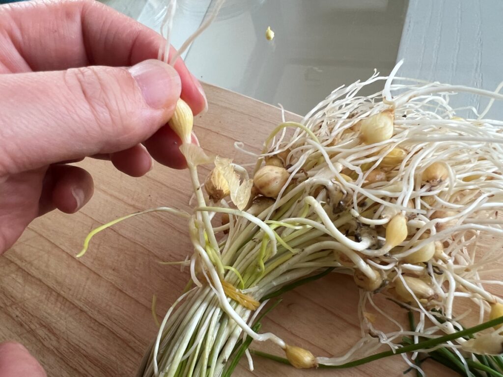 달래 양념장 달래장 만들기 달래 손질법 (+계란 두부부침) 6 5 11