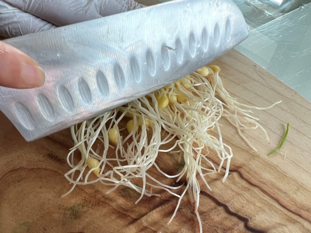 달래 양념장 달래장 만들기 달래 손질법 (+계란 두부부침) 8 7 10