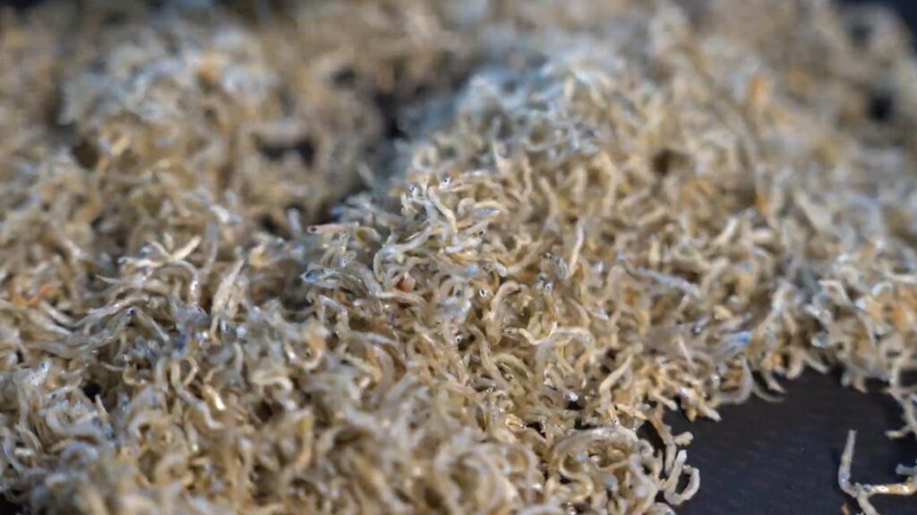 바삭한 멸치볶음 만들기 견과류 넣은 멸치볶음 간단한 밑반찬 만들기 10 7 11