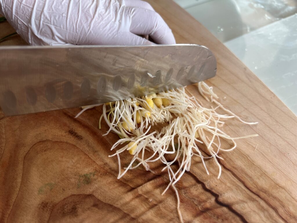 달래 양념장 달래장 만들기 달래 손질법 (+계란 두부부침) 10 9 10