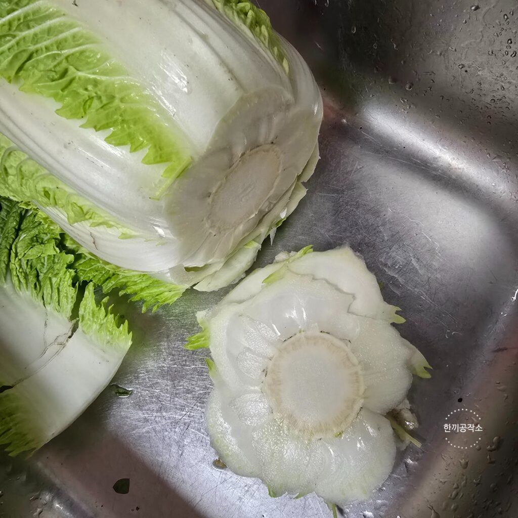여름 배추김치 담그기, 아삭함이 살아있는 맛김치 레시피 막김치! | 한끼공작소 2 1 | 한끼공작소