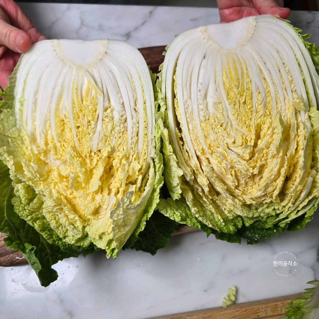 여름 배추김치 담그기, 아삭함이 살아있는 맛김치 레시피 막김치! | 한끼공작소 3 1 | 한끼공작소
