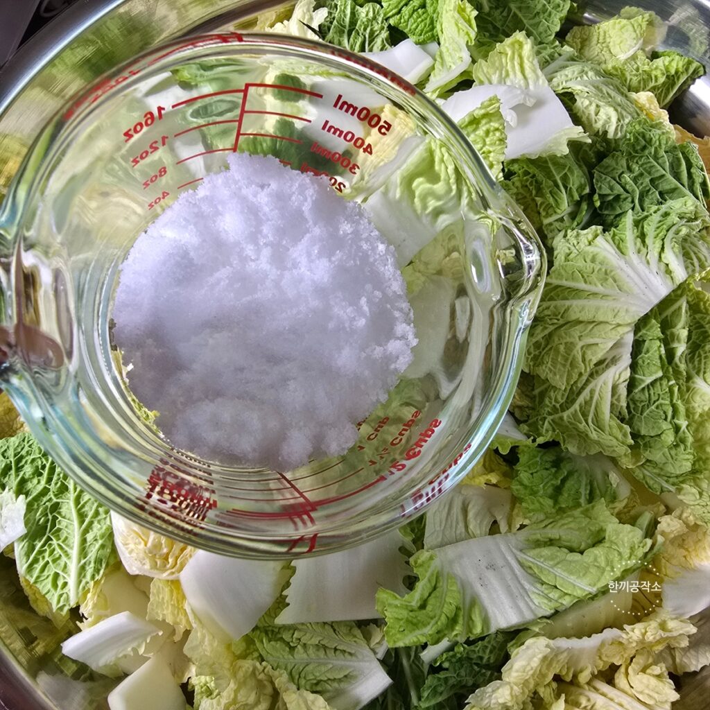여름 배추김치 담그기, 아삭함이 살아있는 맛김치 레시피 막김치! | 한끼공작소 6 1 | 한끼공작소