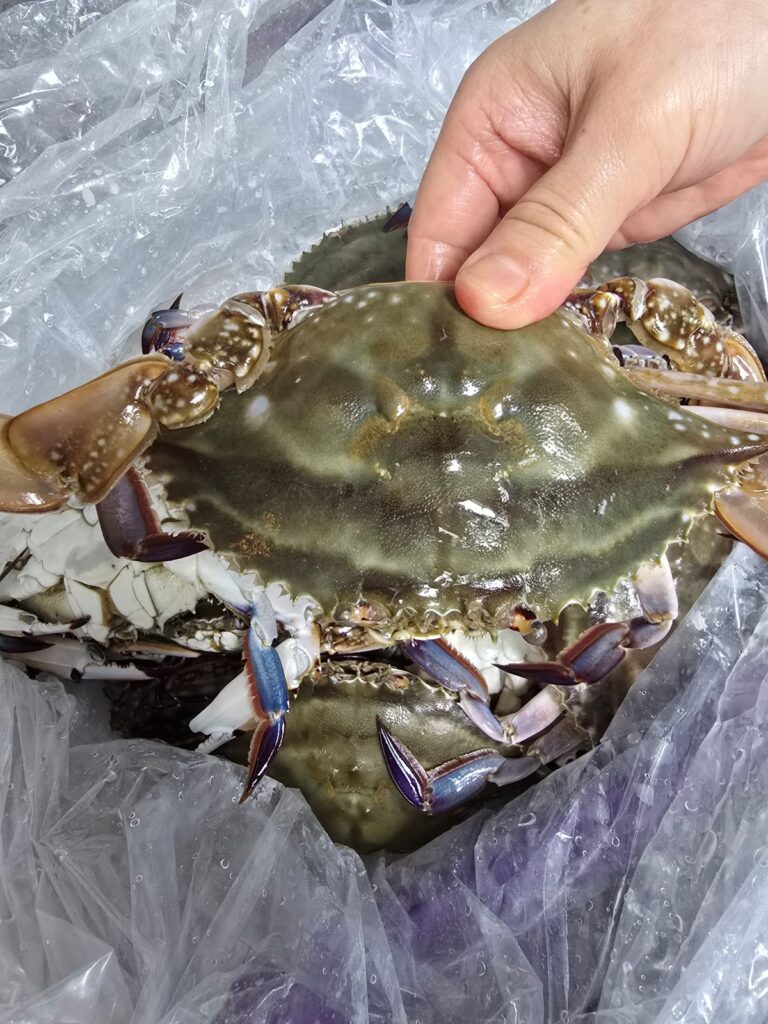 집에서 끓이는 꽃게탕, 시원하고 얼큰한 국물 비법 공개 | 한끼공작소 10 20 | 한끼공작소