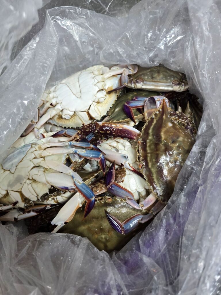 집에서 끓이는 꽃게탕, 시원하고 얼큰한 국물 비법 공개 | 한끼공작소 2 22 | 한끼공작소