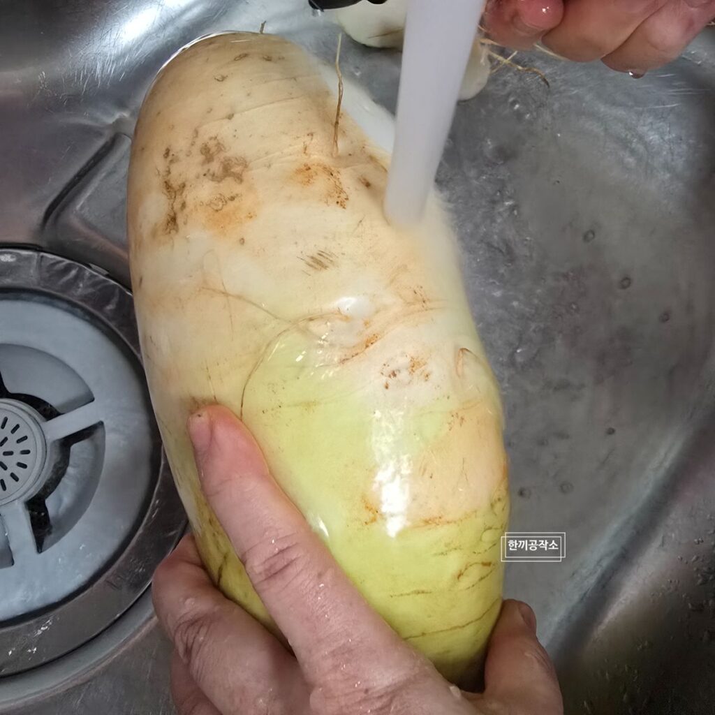 여름무 깍두기 담그는법 (아린 맛 없는 황금 레시피) 설렁탕집 이모님 비법! | 한끼공작소 4 | 한끼공작소