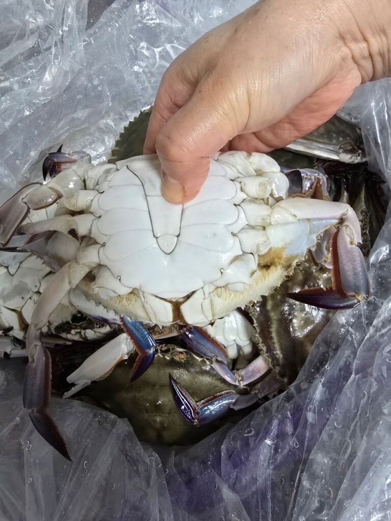 집에서 끓이는 꽃게탕, 시원하고 얼큰한 국물 비법 공개 | 한끼공작소 9 20 | 한끼공작소