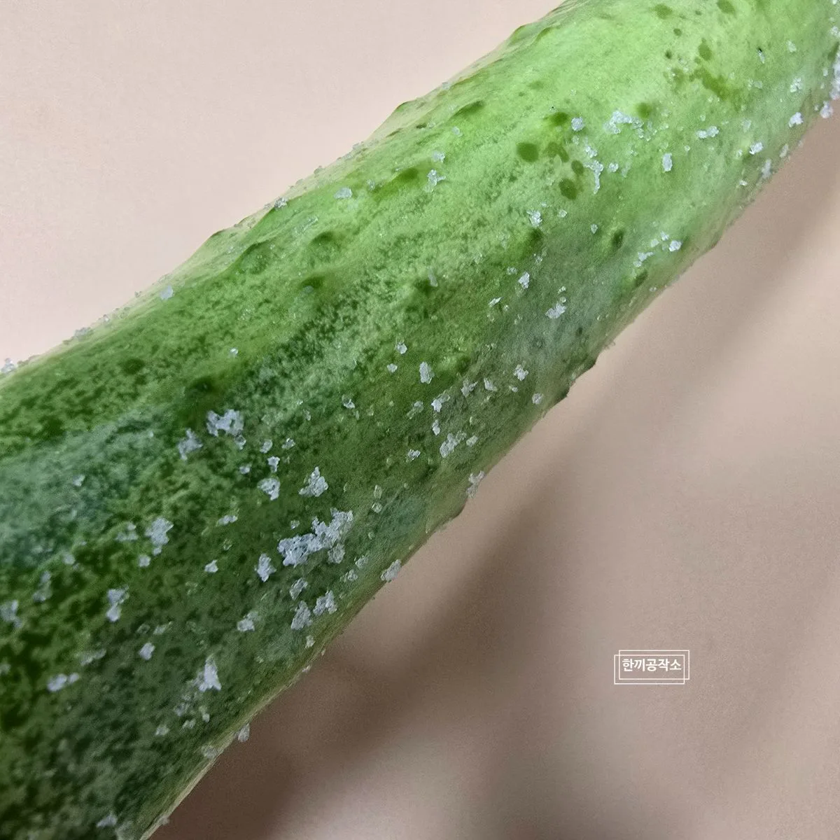 오이무침 황금레시피, 입맛 없을 때 최고 오이무침 레시피 🥒