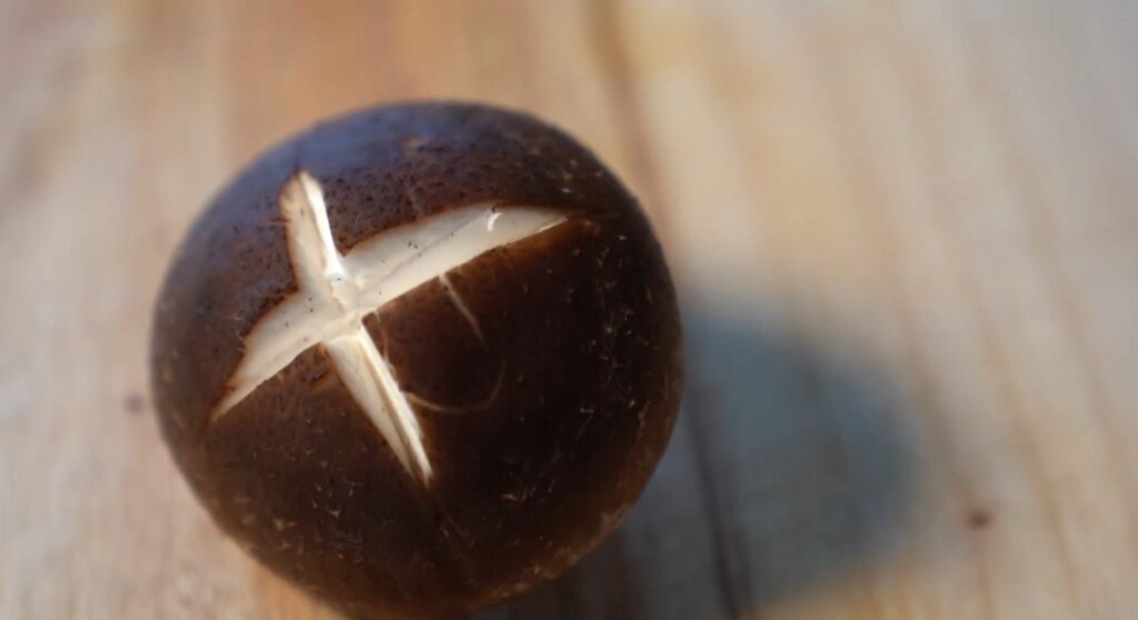 밀푀유나베 만들기 간단한 육수 소스 레시피 재료까지 20분이면 천상의 맛! 12 10 11