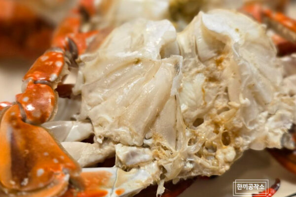 16 1 | 한끼공작소