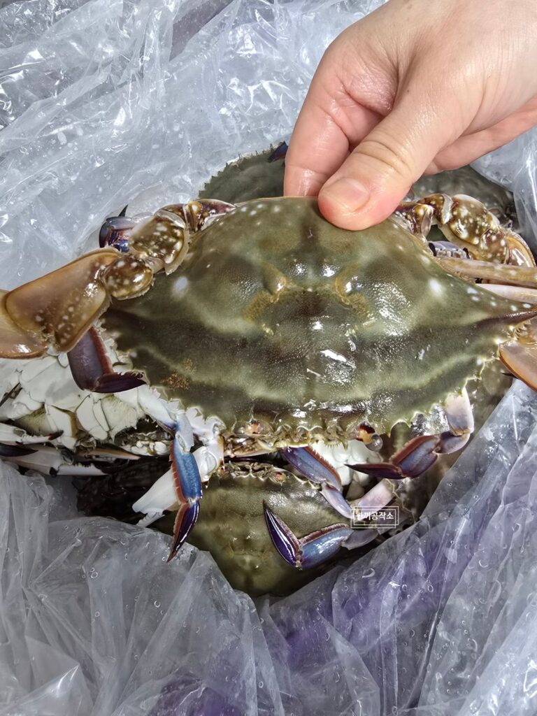 가을 제철 꽃게찜 레시피 - 손질부터 찌는 시간 15+5 완벽 가이드 | 한끼공작소 2 | 한끼공작소