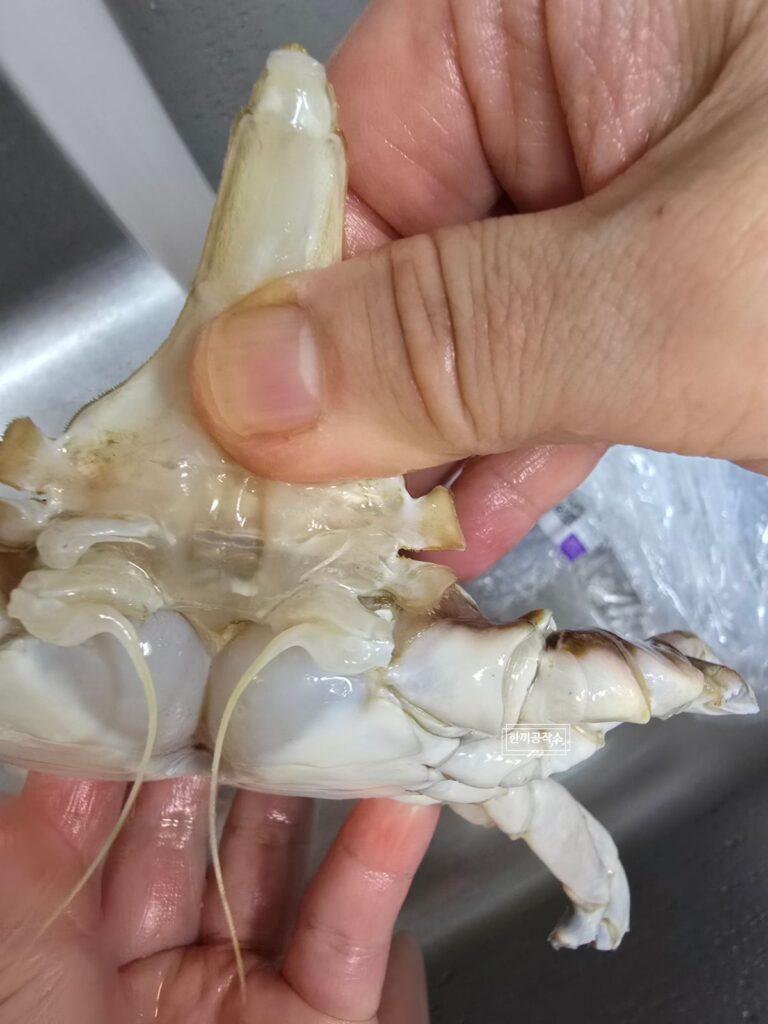 가을 제철 꽃게찜 레시피 - 손질부터 찌는 시간 15+5 완벽 가이드 | 한끼공작소 3 | 한끼공작소