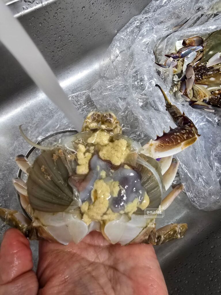 가을 제철 꽃게찜 레시피 - 손질부터 찌는 시간 15+5 완벽 가이드 | 한끼공작소 5 | 한끼공작소