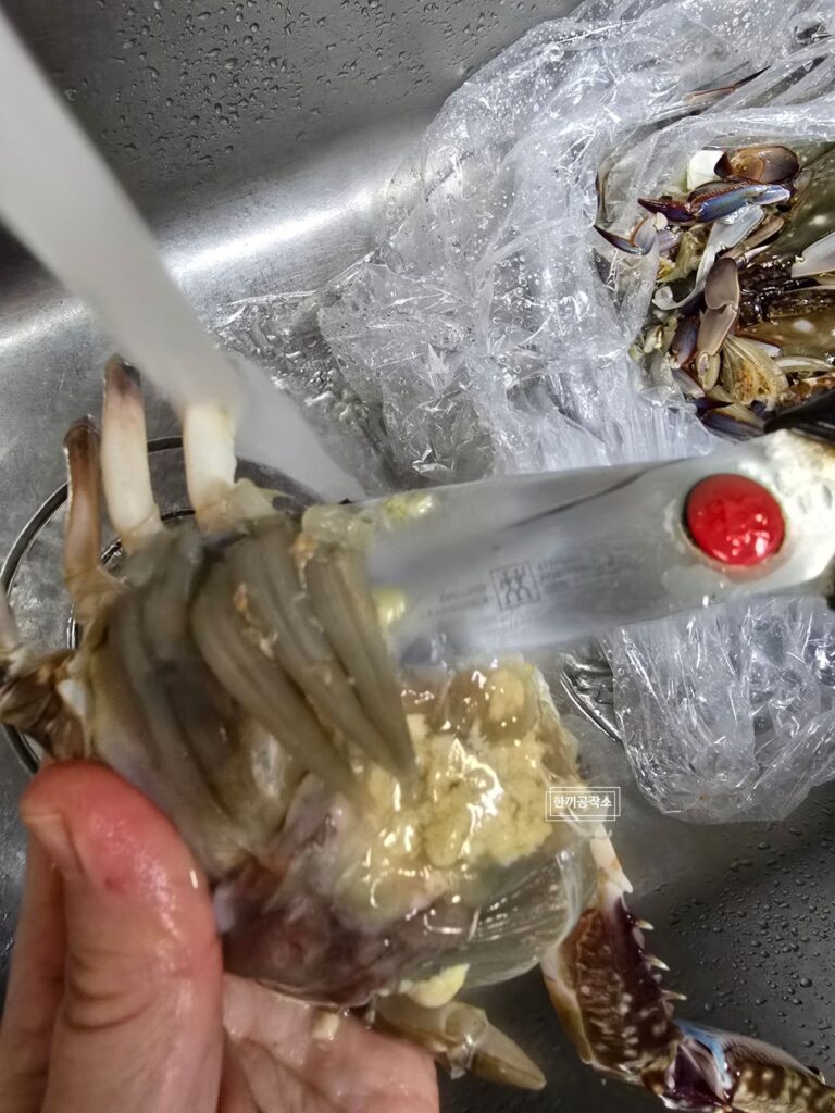 가을 제철 꽃게찜 레시피 - 손질부터 찌는 시간 15+5 완벽 가이드 | 한끼공작소 6 | 한끼공작소