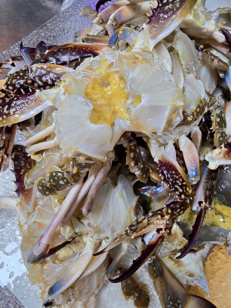 가을 제철 꽃게찜 레시피 - 손질부터 찌는 시간 15+5 완벽 가이드 | 한끼공작소 9 | 한끼공작소