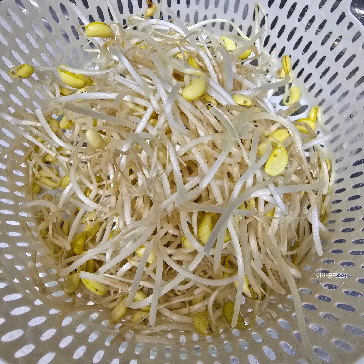 김치콩나물국 레시피 시원칼칼한 해장국 콩나물김치국 끓이는법 (세상 간단!)
