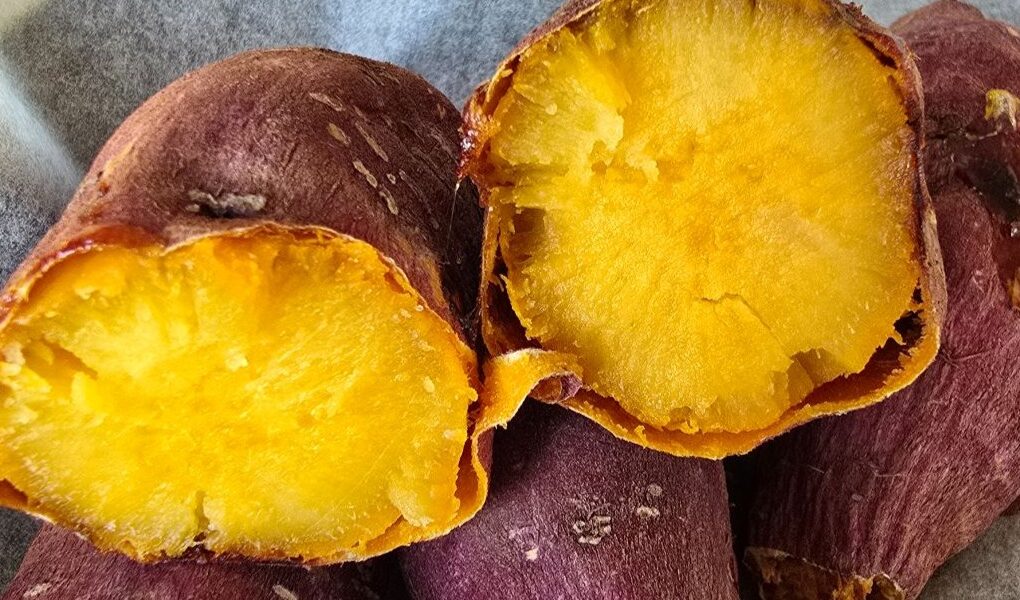 10 1 1 | 한끼공작소