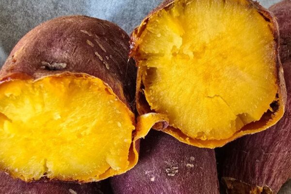 10 1 1 | 한끼공작소