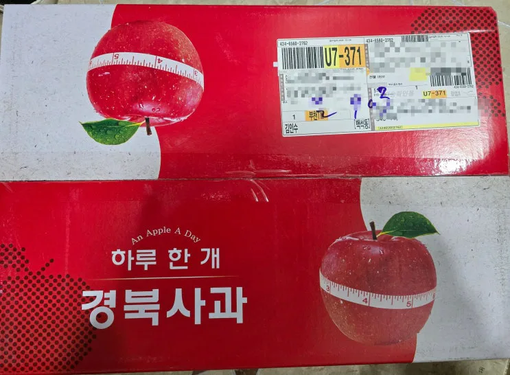 영주 사과 추천! 꿀 뚝뚝 크라운사과 못난이 부사 5kg, 진짜 맛있는사과 인정 🍎