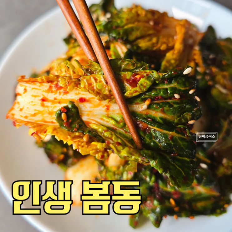 봄동겉절이 봄동무침 양념 황금비율 요즘 마트에서 품절되는 이유