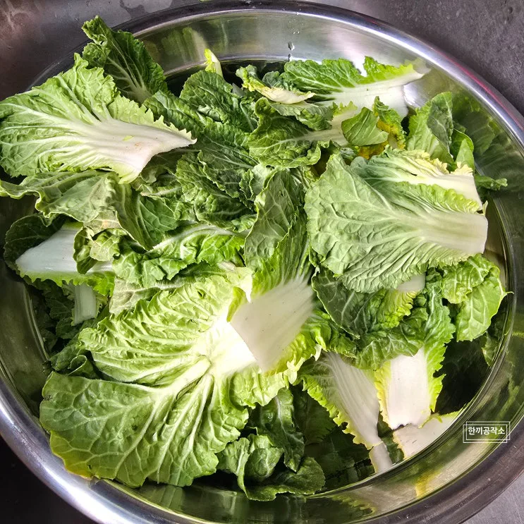 봄동겉절이 봄동무침 양념 황금비율 요즘 마트에서 품절되는 이유