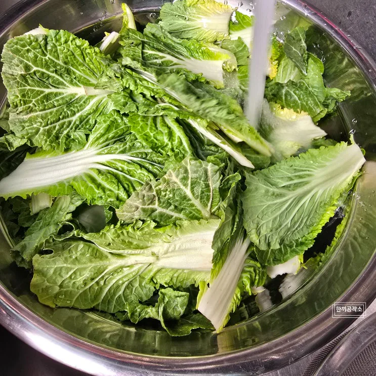 봄동겉절이 봄동무침 양념 황금비율 요즘 마트에서 품절되는 이유