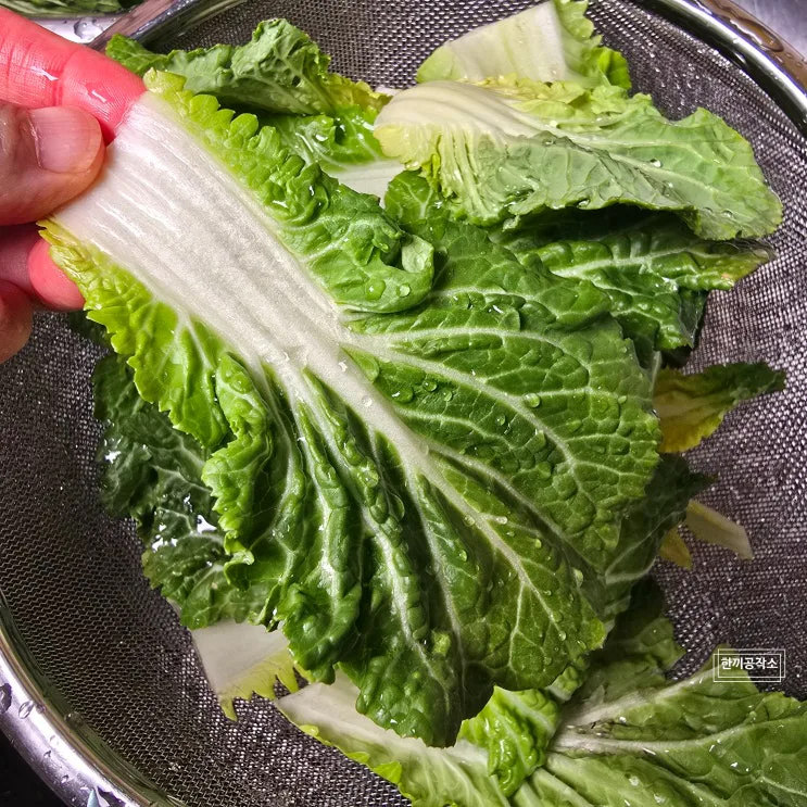 봄동겉절이 봄동무침 양념 황금비율 요즘 마트에서 품절되는 이유