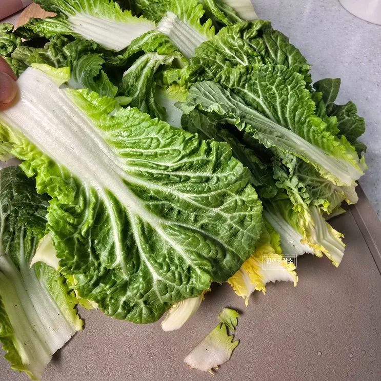 봄동비빔밥 레시피 양념장 황금비율4:4:1 (강호동이 양푼째 비운 그맛)