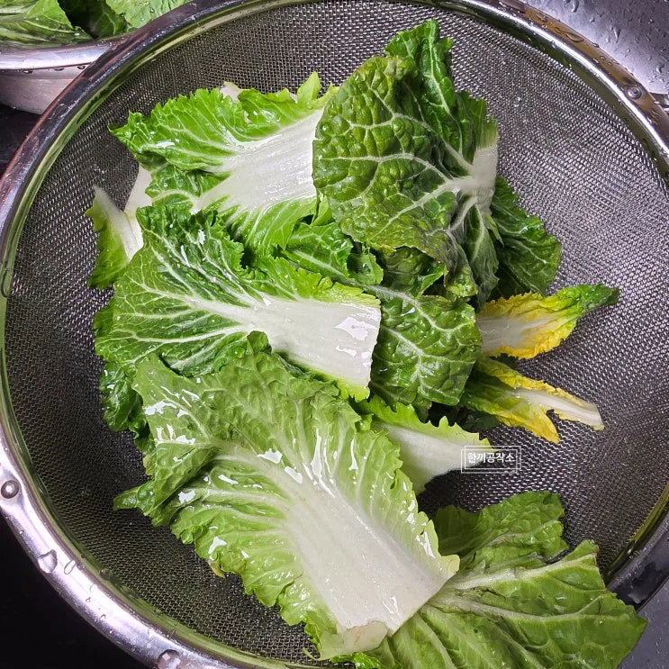 봄동비빔밥 레시피 양념장 황금비율4:4:1 (강호동이 양푼째 비운 그맛)