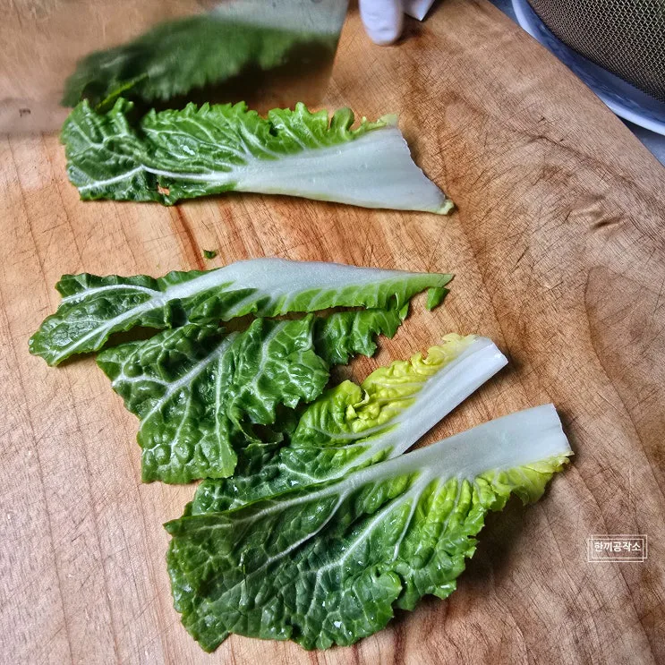 봄동겉절이 봄동무침 양념 황금비율 요즘 마트에서 품절되는 이유