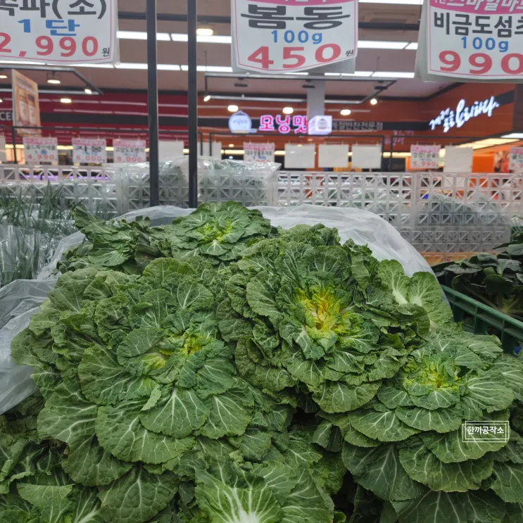 봄동겉절이 봄동무침 양념 황금비율 요즘 마트에서 품절되는 이유