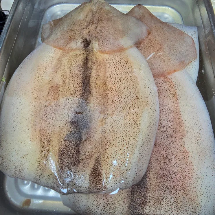 자꾸 생각나서 또 만든 오징어초무침 황금레시피