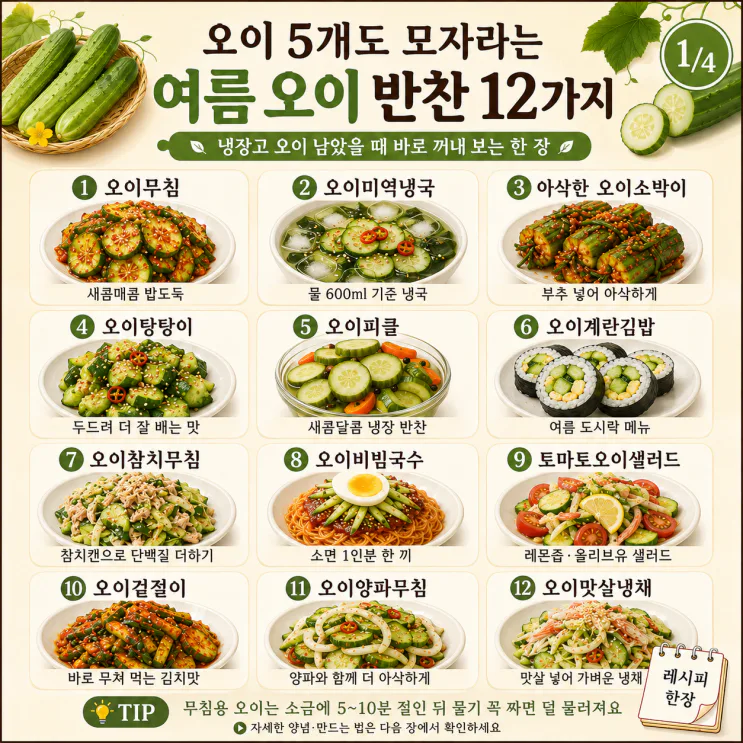 오이무침부터 오이 반찬 12가지, 안 질리는 여름 공식 레시피(저장용)
