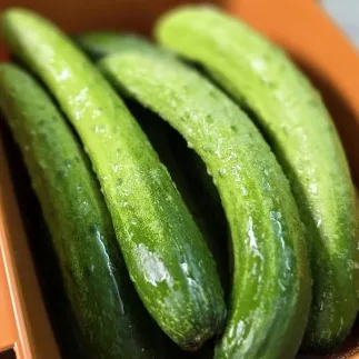 오이지 담그는법, 물 없이 끓이지 않고 7일이면 끝나요